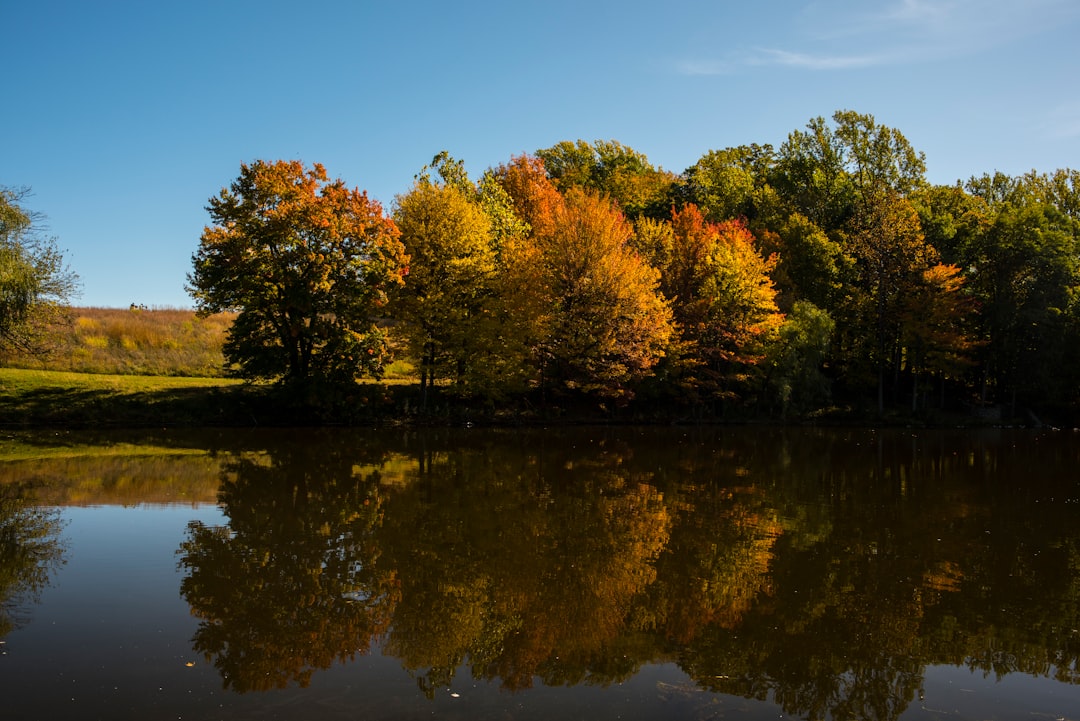 Lake photo spot Storm King Art Center United States