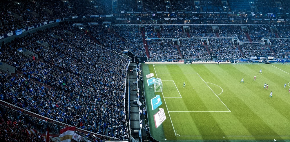 Jugadores de fútbol en el campo de juego verde