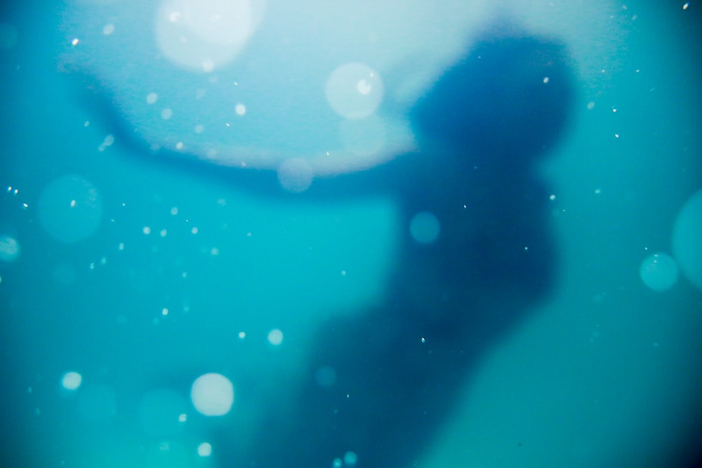 mulher nadando sob o corpo da água