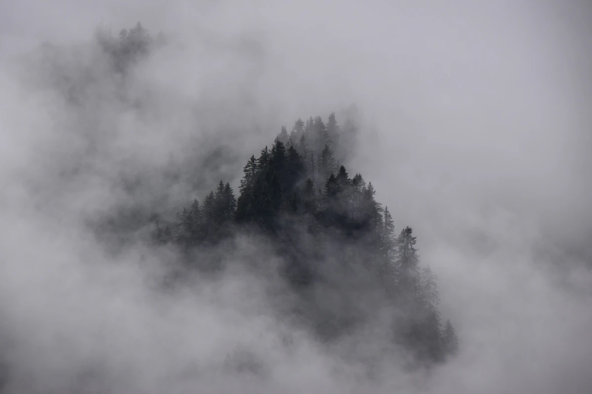 Meditation