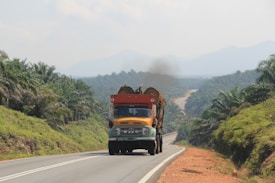 A large truck carries a load of logs on a winding road surrounded by dense palm trees with rolling hills and mountains in the background.