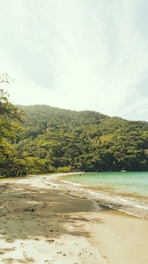 Golden sand beaches along the backwater.