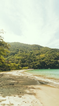 Golden sand beaches along the backwaters.