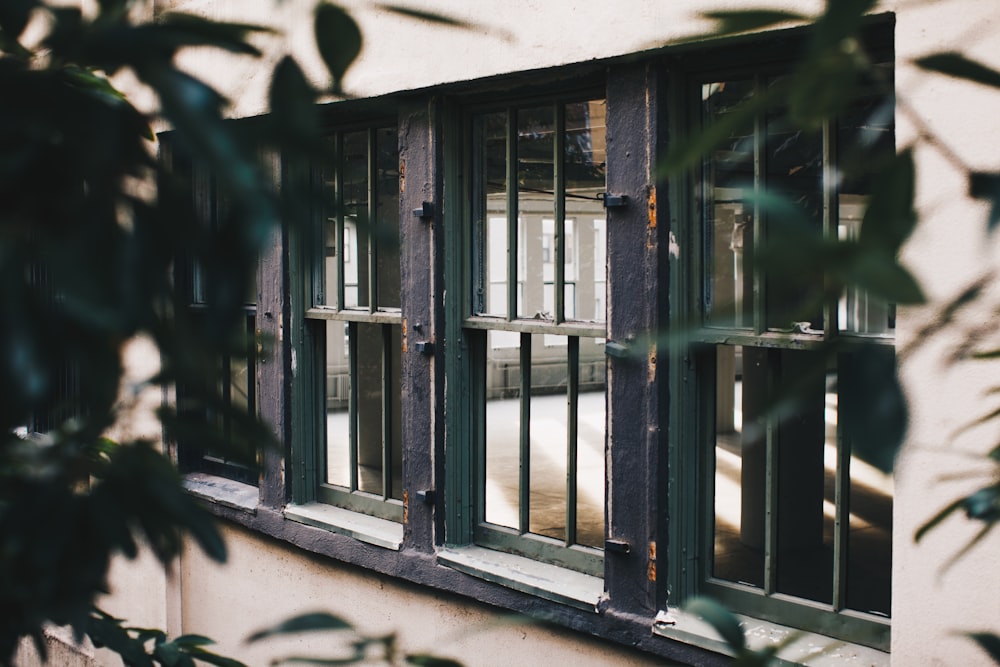 Ventana de cristal con marcos de acero negro