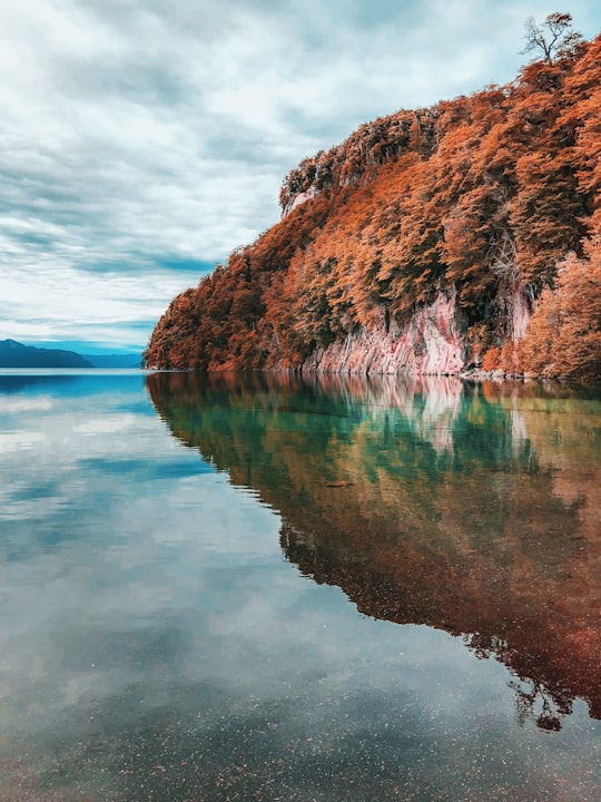 Parque Nacional Los Arrayanes things to do in San Carlos de Bariloche