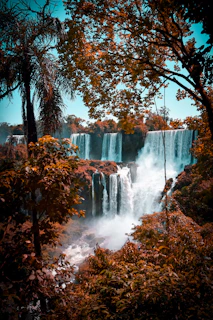 green trees near waterfalls