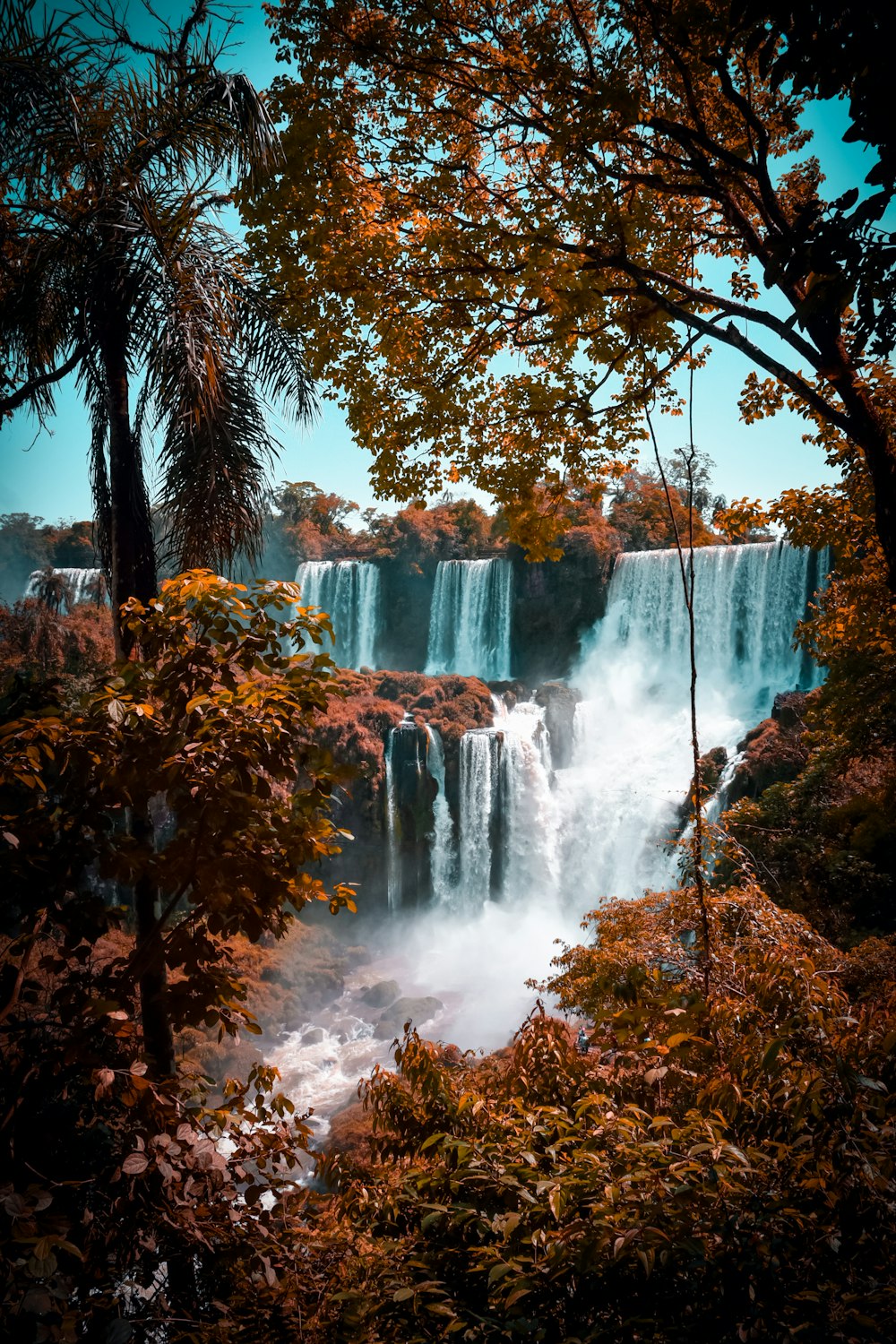 green trees near waterfalls