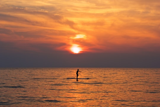 silhouette of person on boat holding paddle during golden hour in Livorno Italy