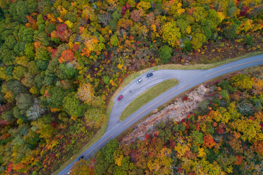 Vista a volo d'uccello della carreggiata tra gli alberi