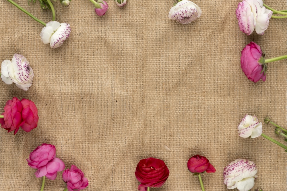 flores brancas e cor-de-rosa no tecido marrom