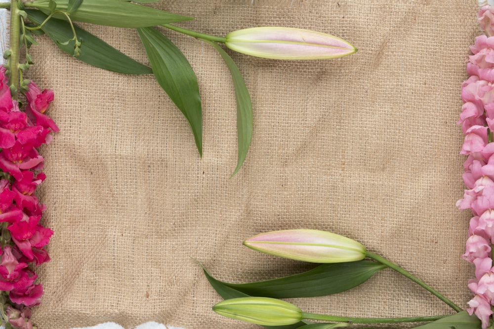 green leafed plant on brown textile