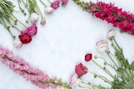 Flat lay of par-care sanitary pads arranged neatly with fresh white flowers and soft fabric.