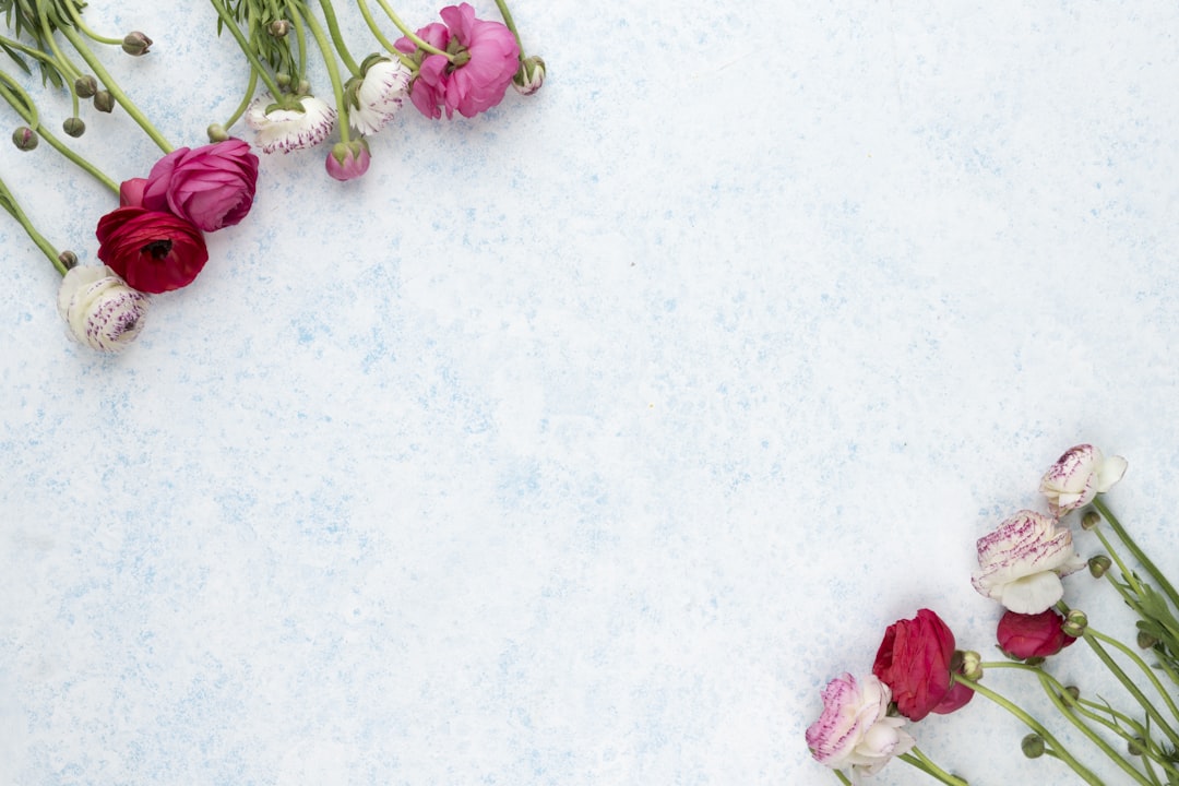 pink and white flowers on white surface, Just some extras from a flatlay shoot.