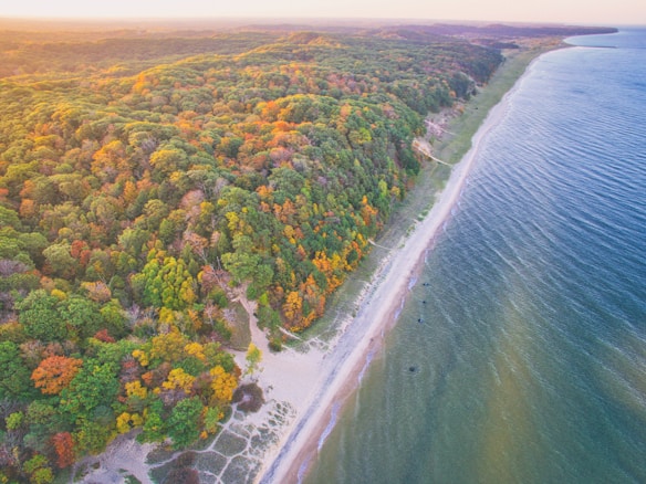 An aerial view of a coastline with a dense forest. The trees display a mix of green and autumnal colors, while the shoreline borders a large body of water. The scene stretches to the horizon, creating a natural and serene landscape.