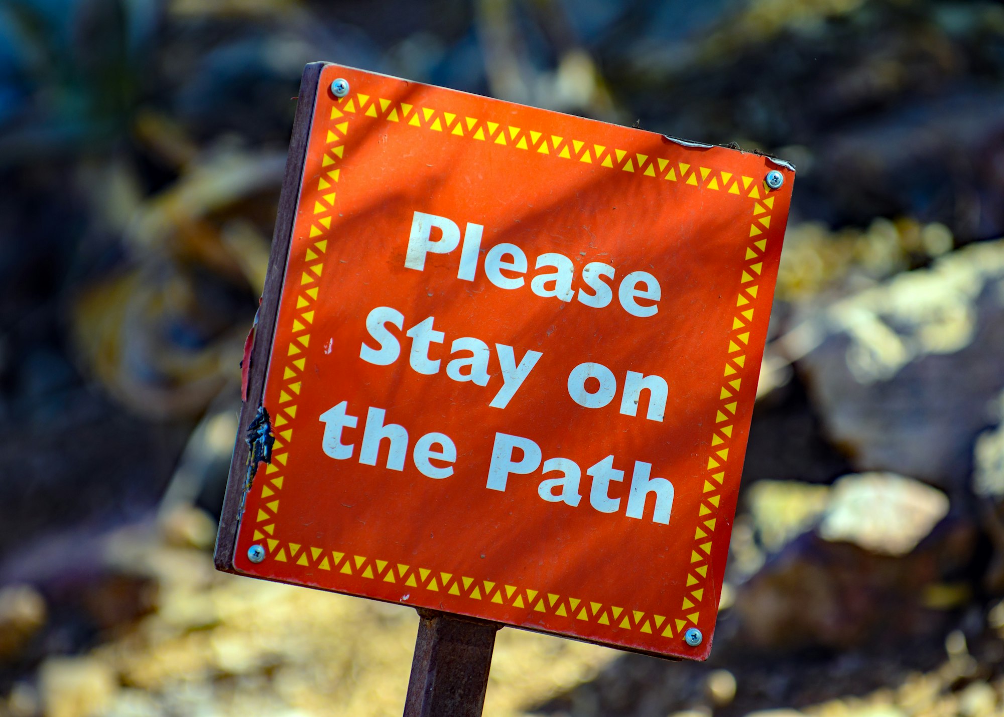 I was walking thru the zoo and saw this sign.  The angle and the color caught my eye.  It made me think about how everyone is telling us what to do.  Or the counter to that … Stay on the Path … hang in there.

Also, all of the other signs were perfectly aligned and standing straight up.  But this one sign, just this one, was a rebel.