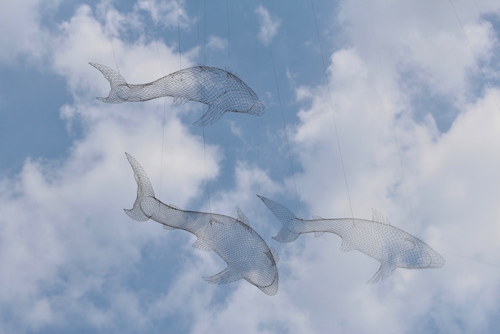 trois cerfs-volants de requin dans le ciel