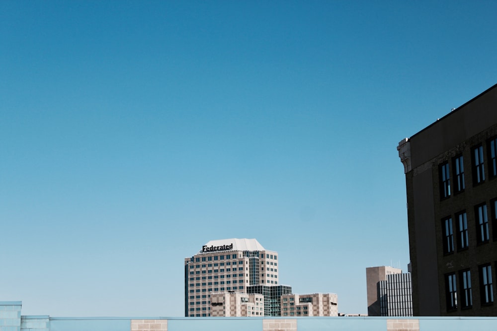 buildings from the roof top