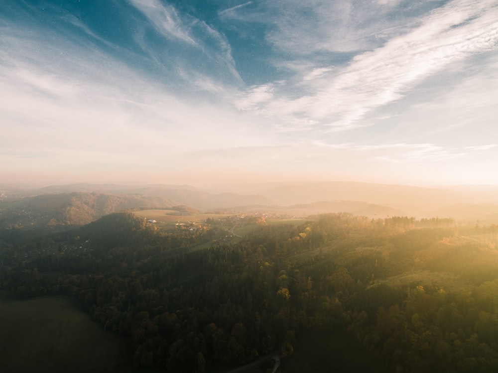 aerial photography of forest