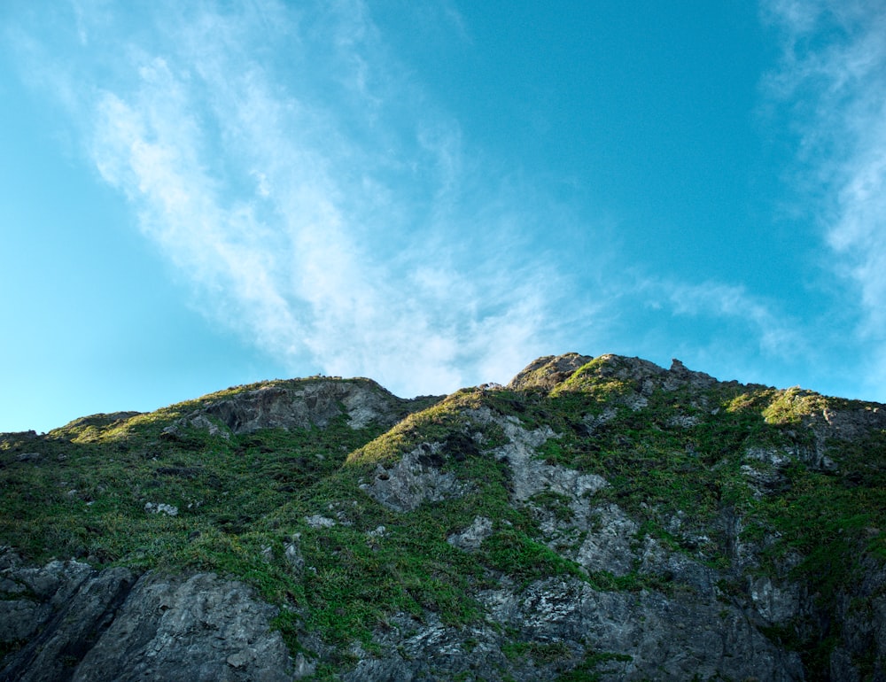 low ground view of mountain