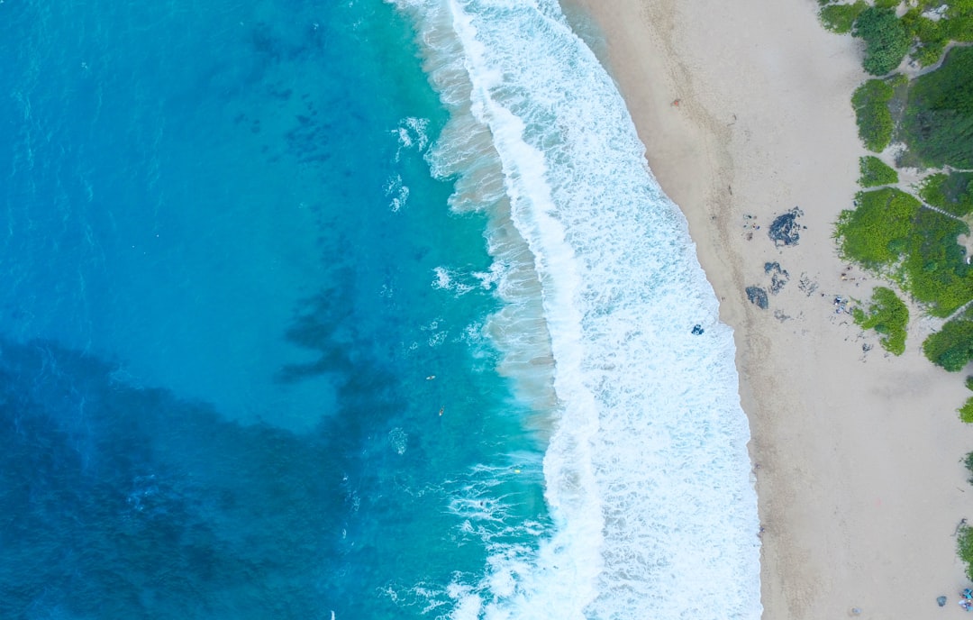 travelers stories about Ocean in Makapuu Beach Park, United States