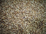 brown beans