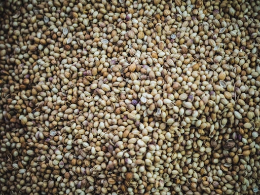 brown beans