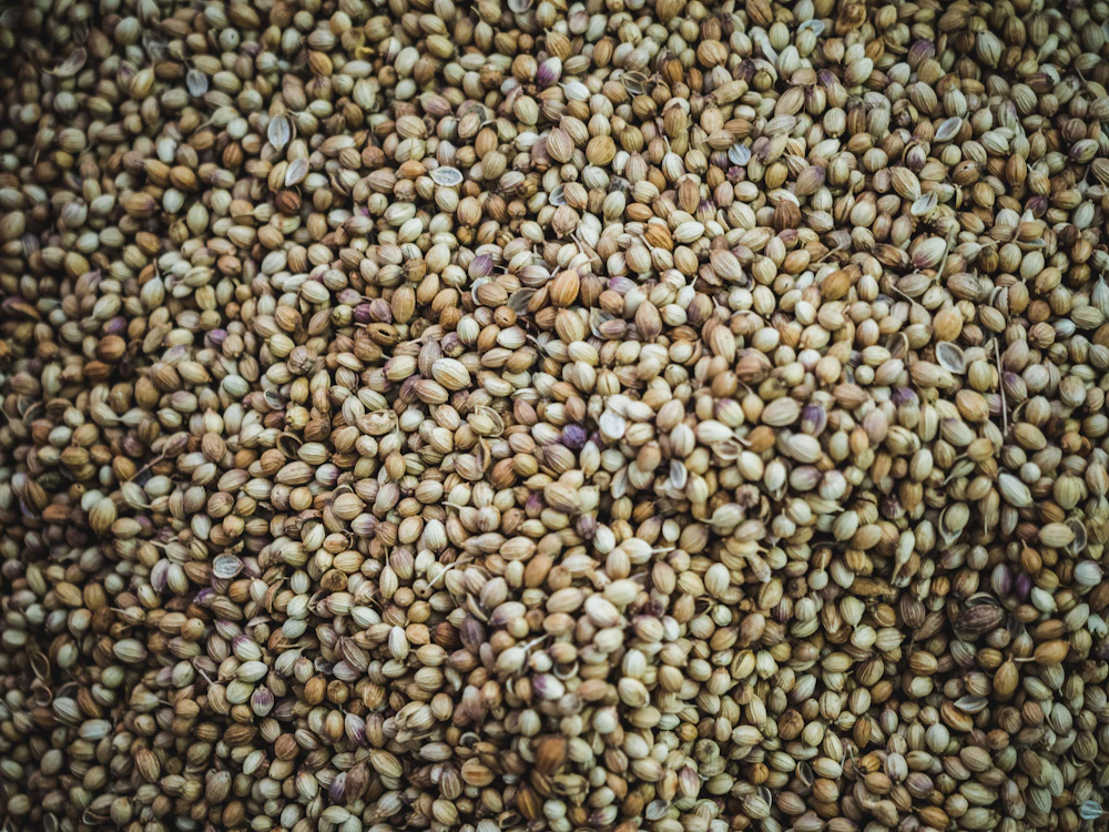 Little Millet