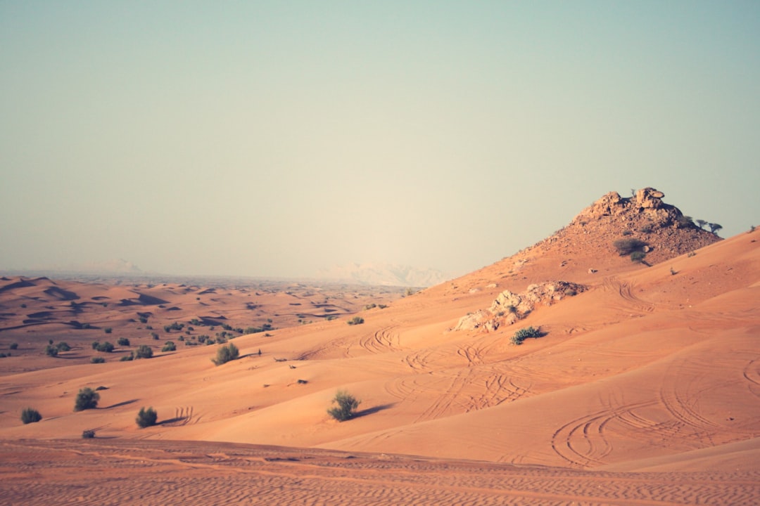 Dubai Desert