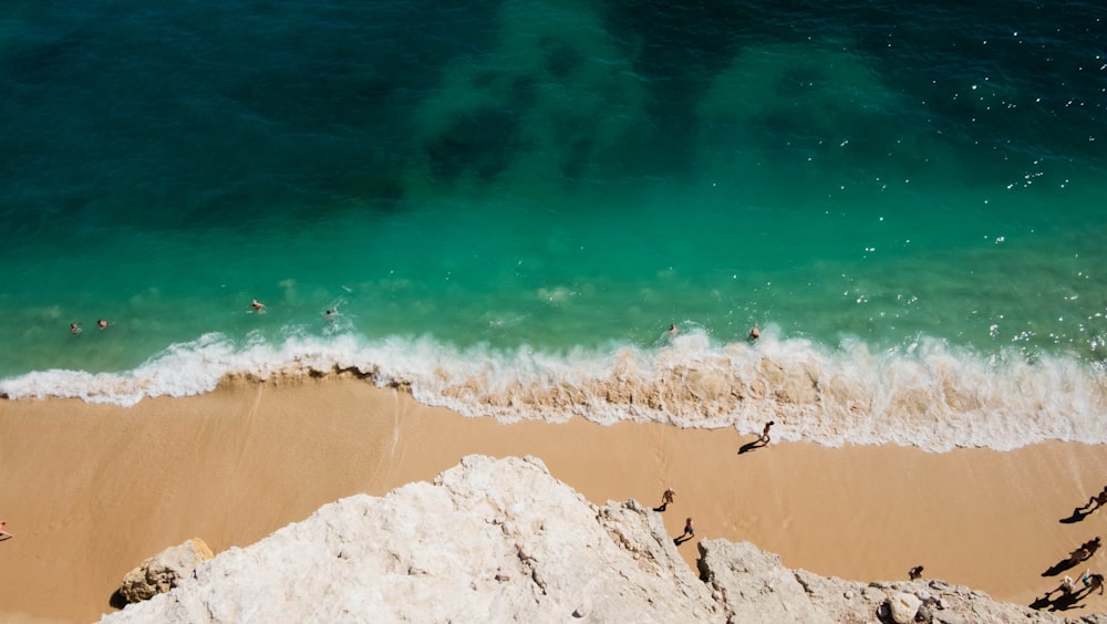 bird's eye view of seashore