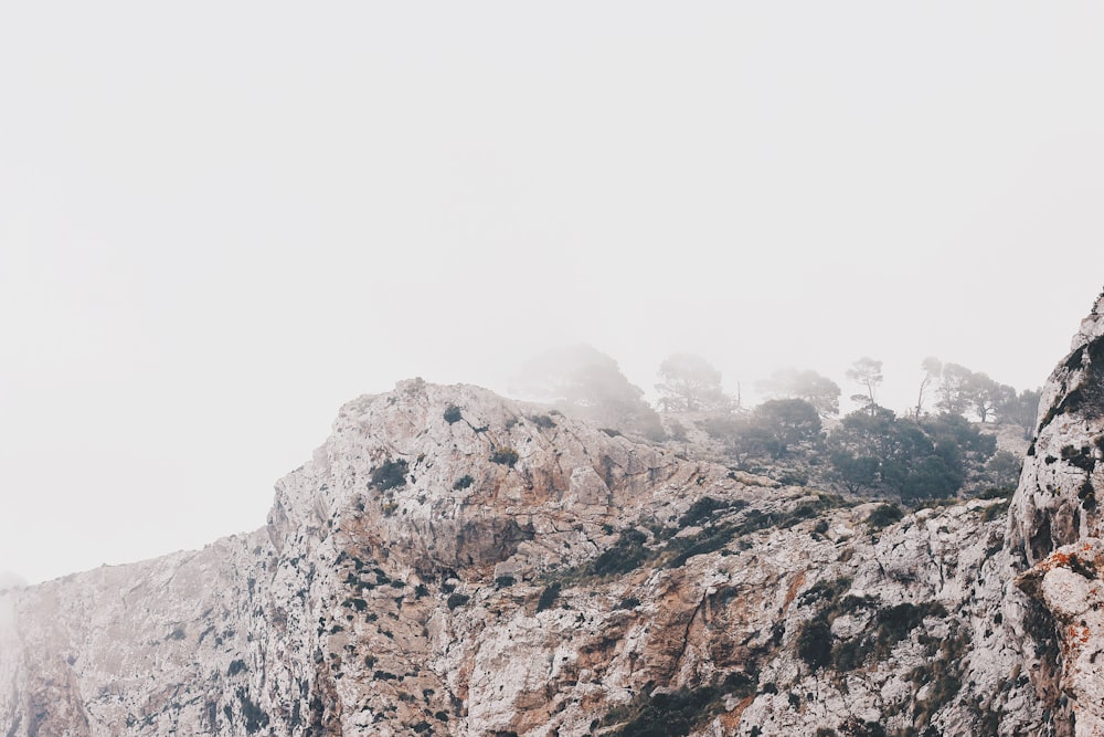 shallow focus photography of white rocky mountain