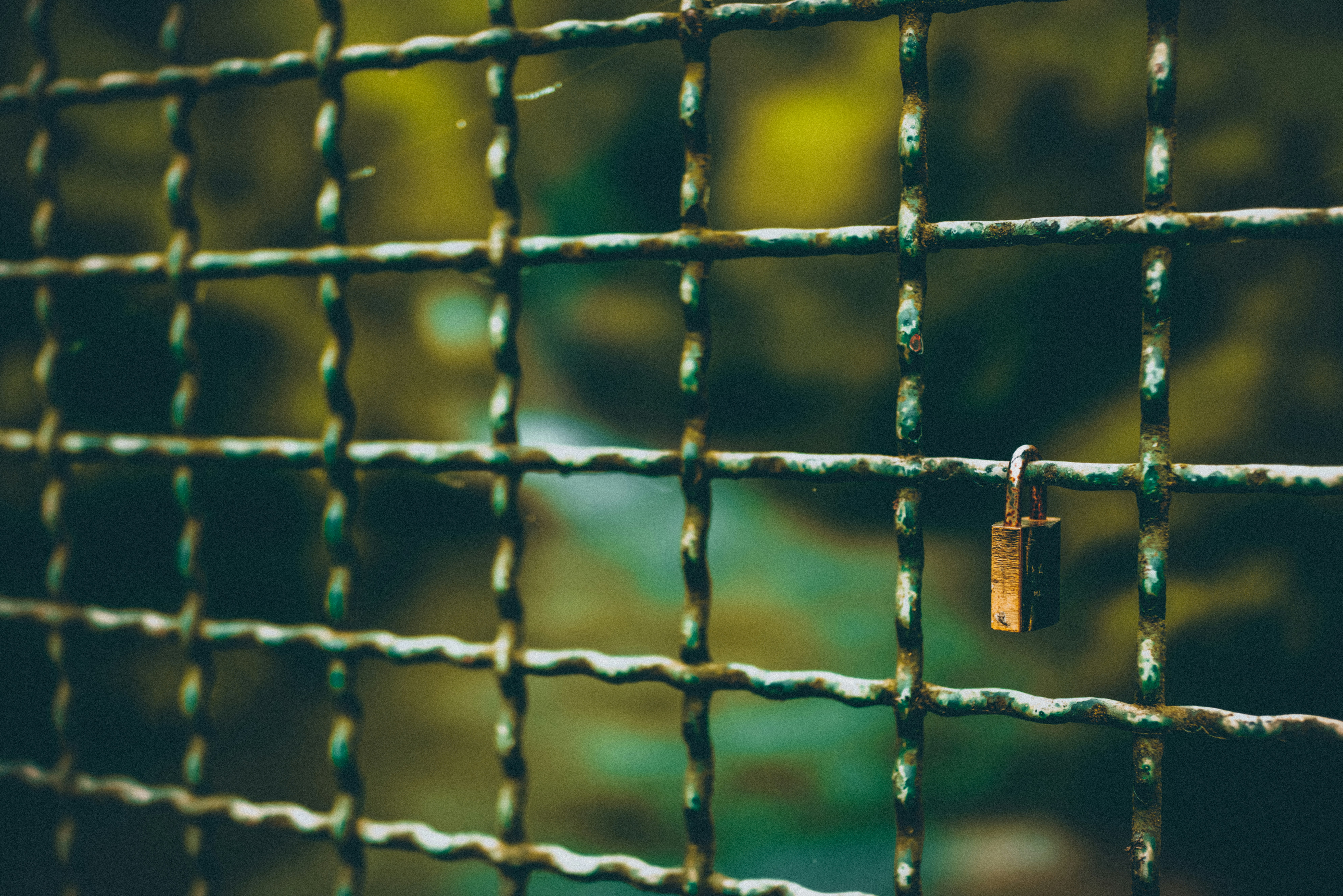 Lock the secret, lock the pain, and leave them in the forest. May time corrode them and heal the wounds.