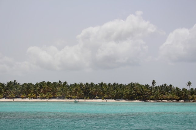 A tranquil tropical scene featuring a sandy beach lined with lush palm trees under a partly cloudy sky. The foreground displays clear turquoise water with a small white boat floating calmly.