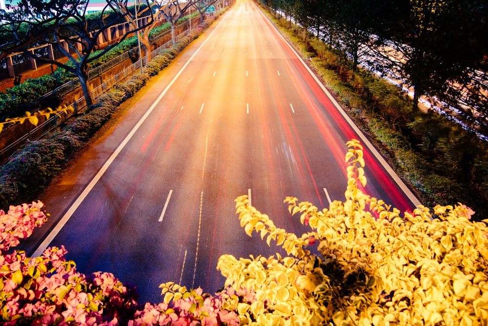 Fotografía time-lapsed de la carretera con luces rojas de coche