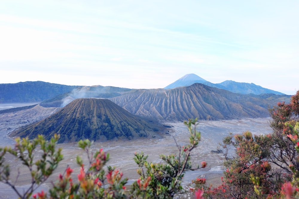 bird's eye view of gray mountain