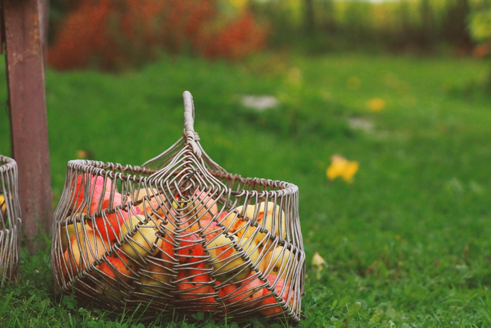 Photographie peu profonde de panier en osier brun et d’herbe verte