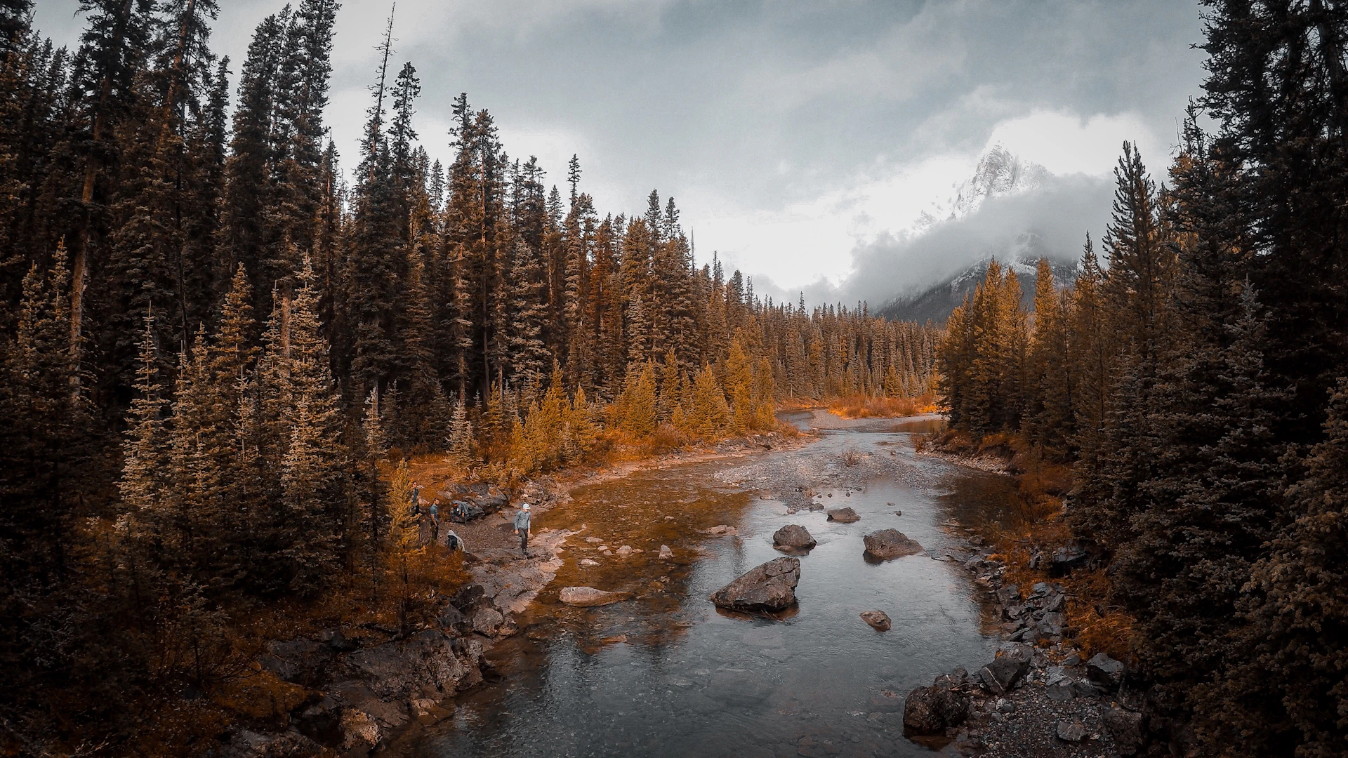 photo of body of water in between trees
