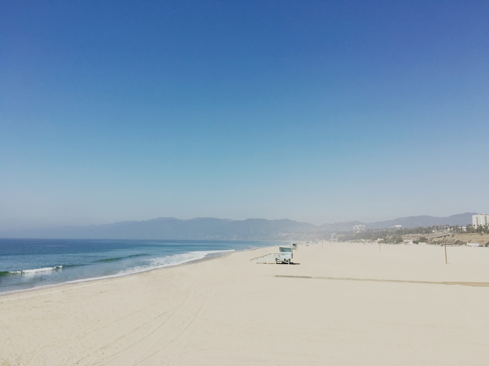 seashore during daytime