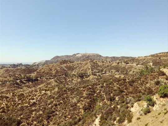 brown plains in Griffith Park United States