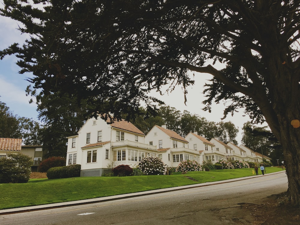 people walking beside house and trees