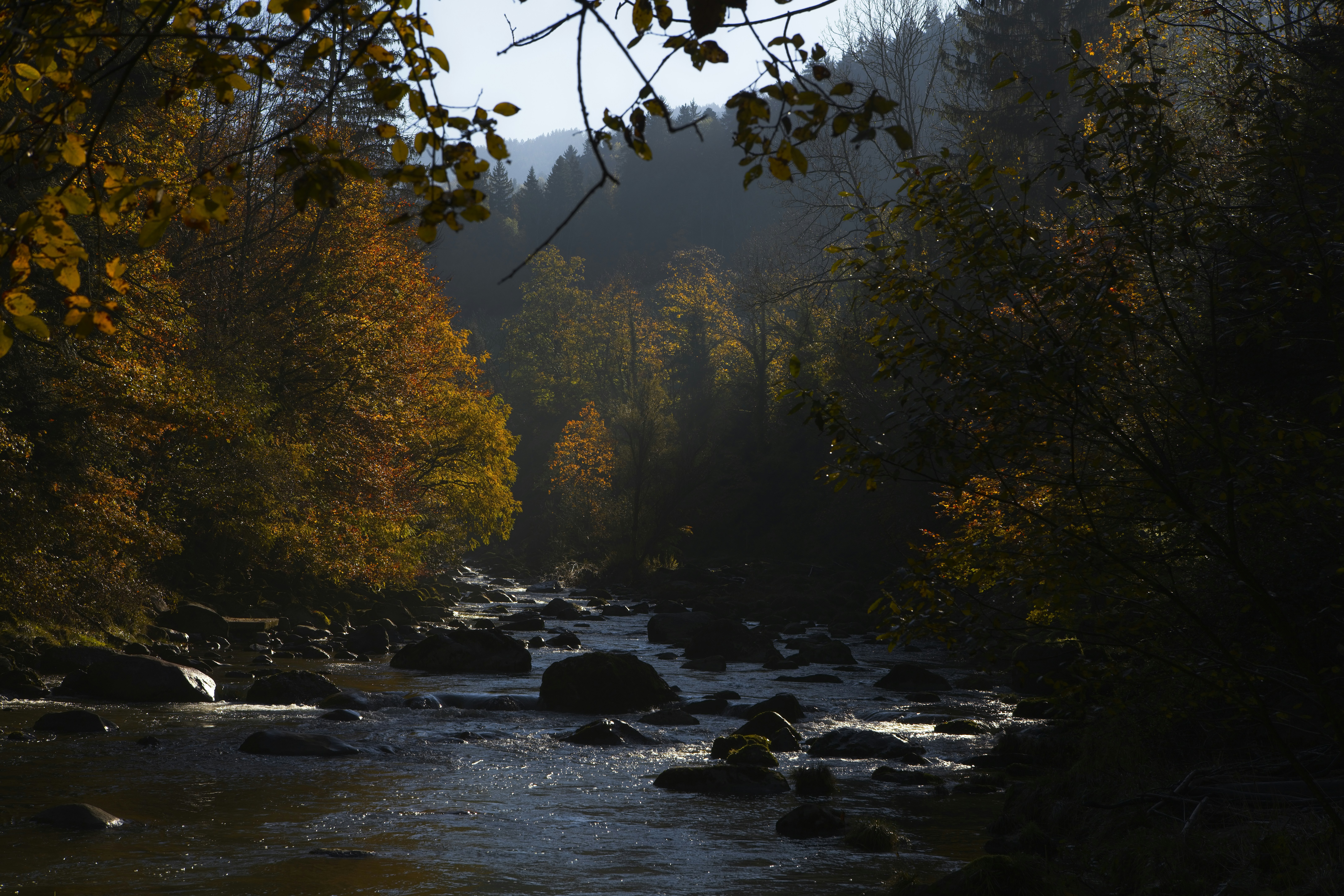 Photo by rgaleriacom