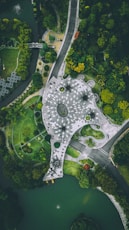 aerial view of park near green trees