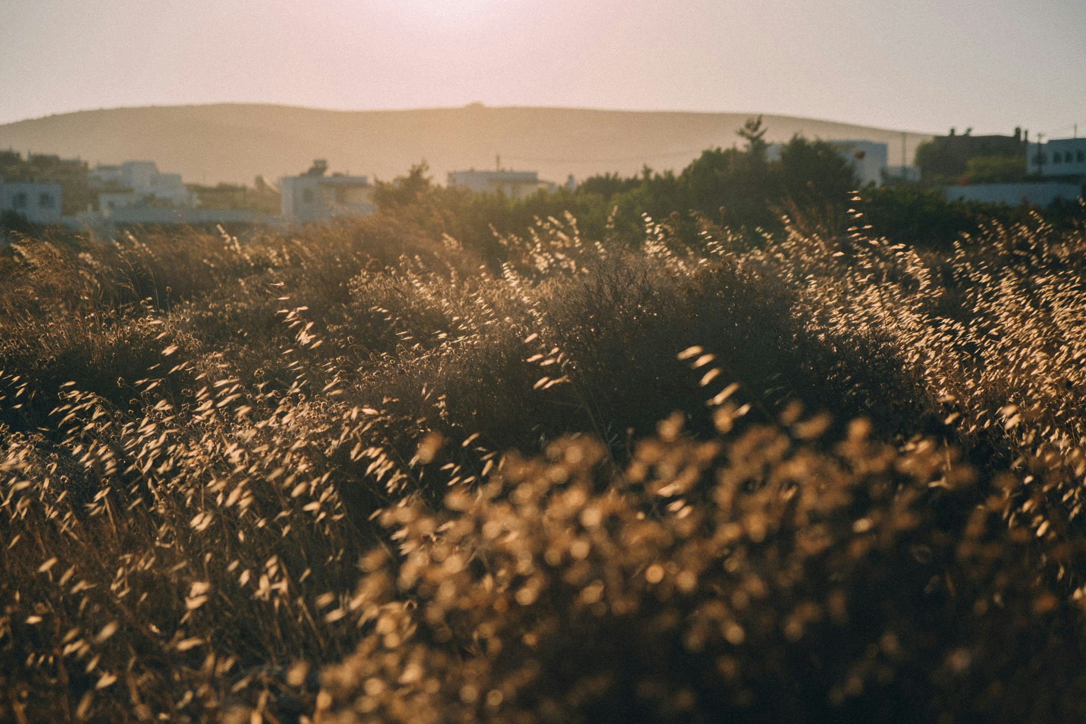 Вглубь поля. Вглубь поля. Борозда. Поле вид сверху. Поле с высоты птичьего полета.