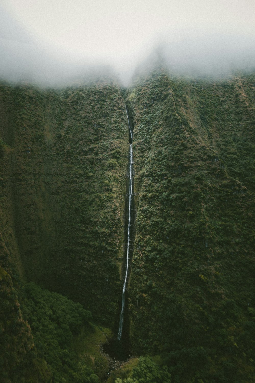 waterfall at mountain covered with trees