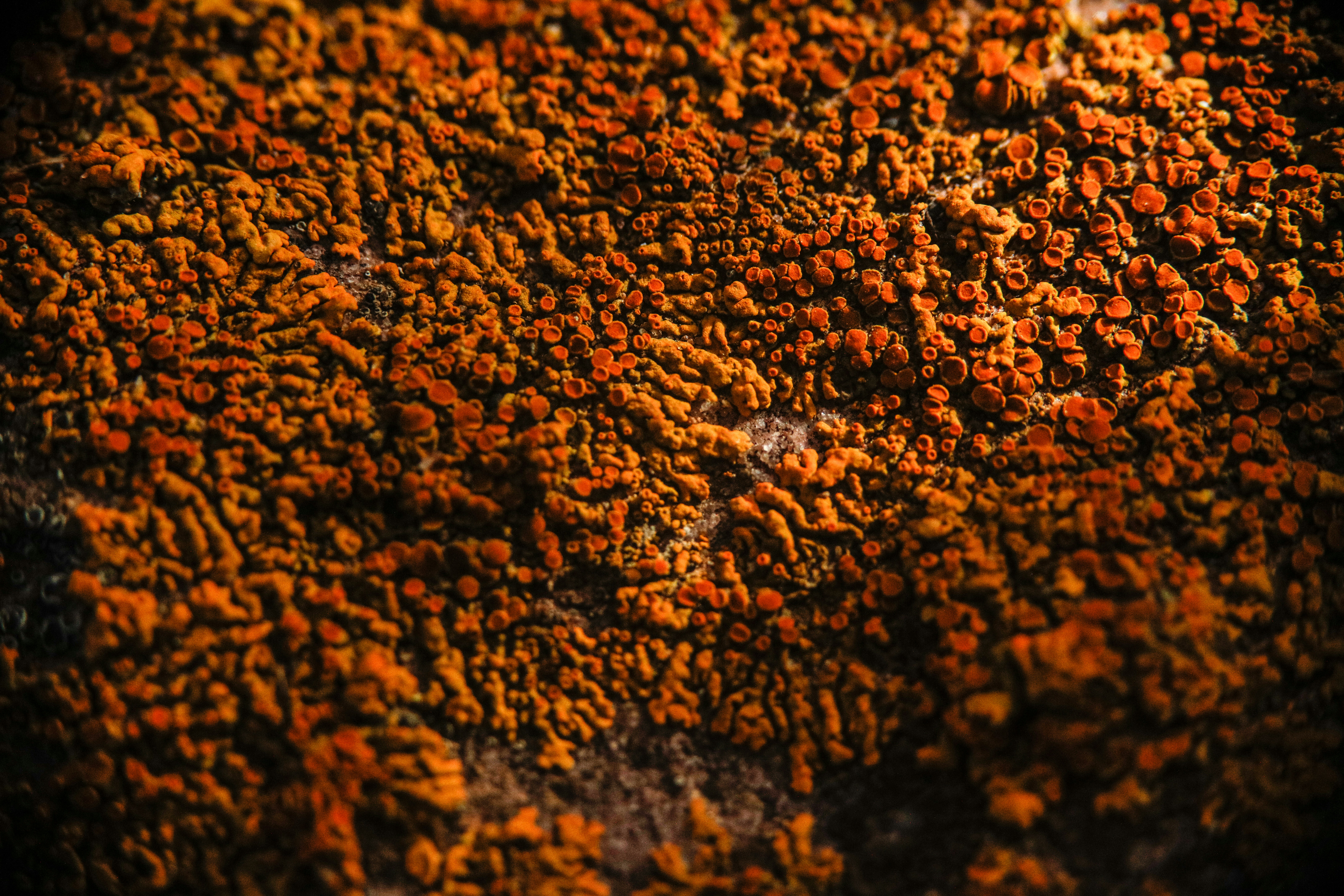 Photo by worldsbetweenlines