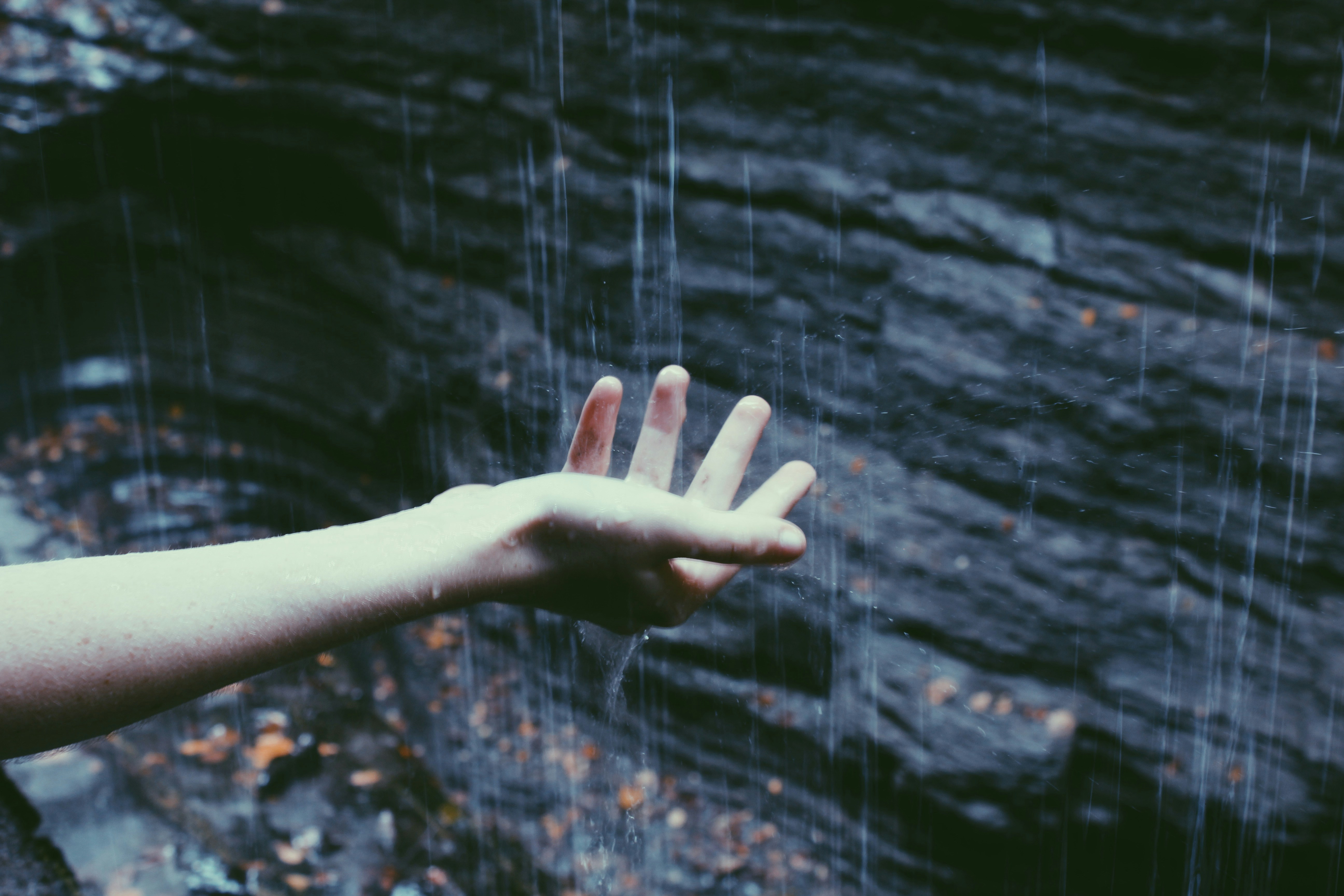 person catching rain drops photo Free Grey Image on Unsplash