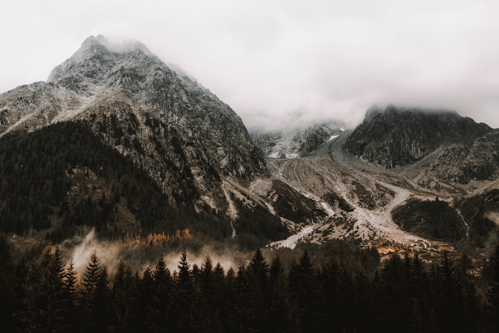 aerial photography of mountains covered with white fog