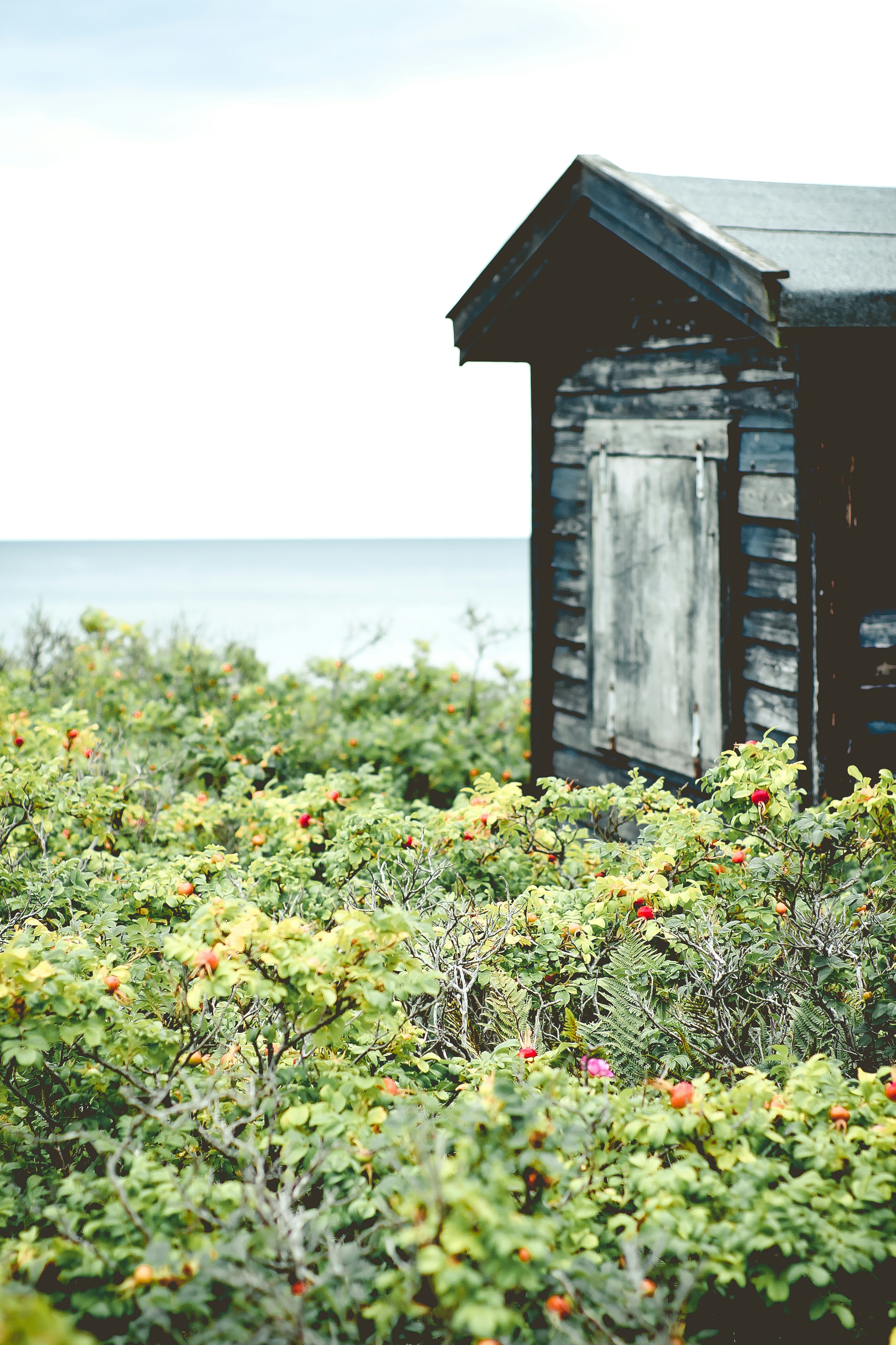 Somewhere by the Sea