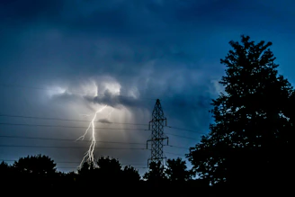 silhouette photo of trees near electric tower under lightning