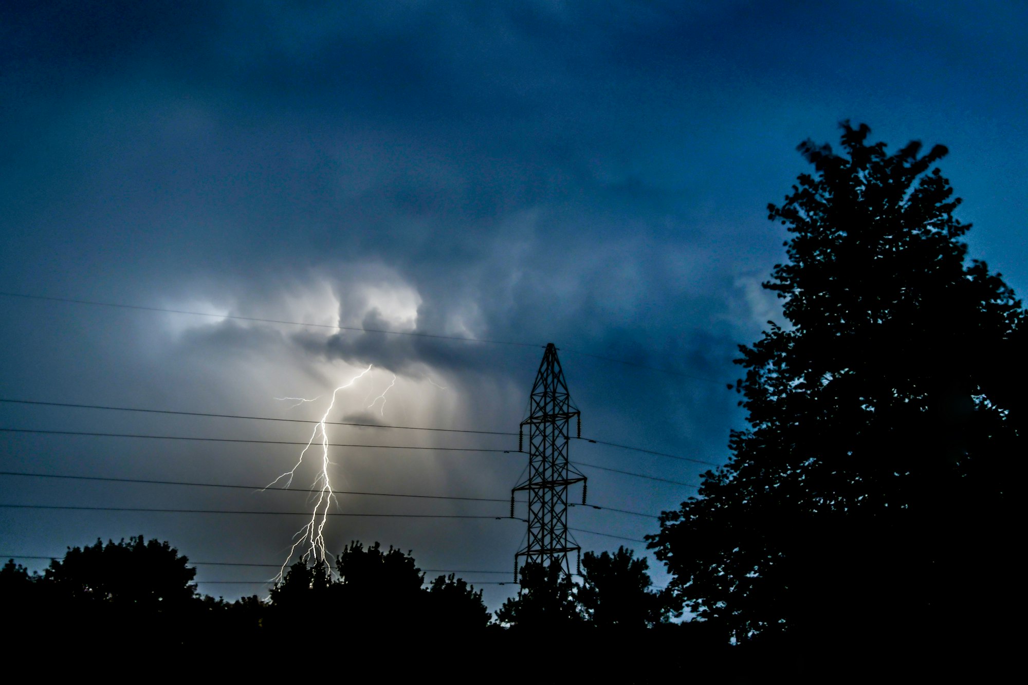 Lightning flashes out of a cloud, in the distance behind tall power lines, with trees silhouetted in the foreground.