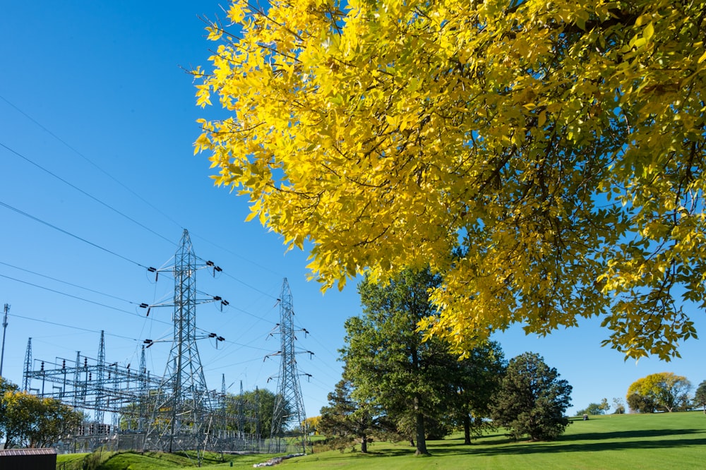 gray utility tower near trees